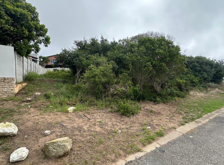 0 Bedroom Property for Sale in Bergsig Western Cape